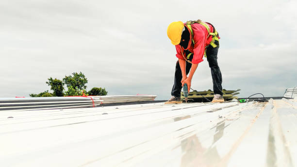 Best Rubber Roofing (EPDM, TPO)  in Irvine, CA